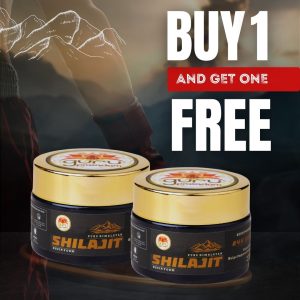 GuruPrasadam 24K Gold Grade Shilajit Resin – Exclusive BOGO Offer